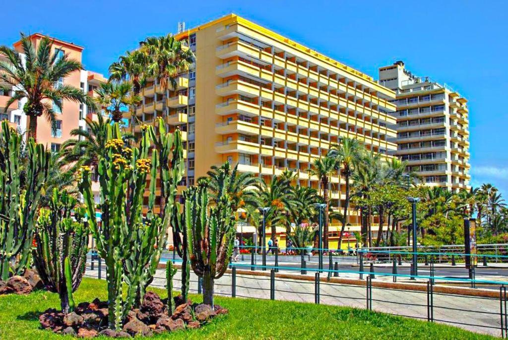 Estudio Para Dos En Martianez Puerto de la Cruz  Ngoại thất bức ảnh